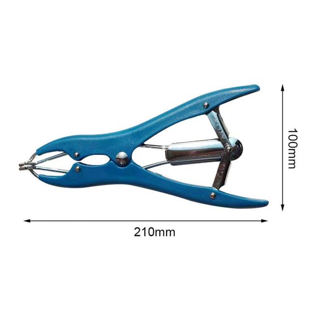 Balloon Expansion Pliers Tool Sequin Filling Pliers Balloon Expander for  Filling Balloon Sequins Petals Feathers Home Party - AliExpress